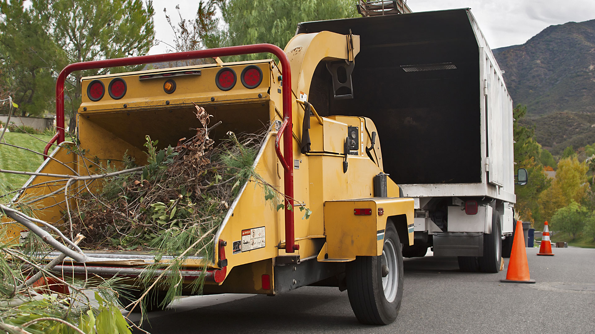 AAA Tree Solutions Tree Removal