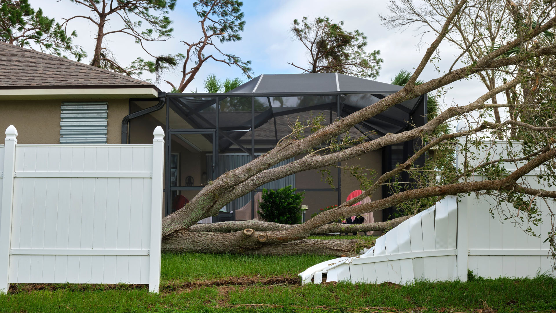 AAA Tree Solutions Storm Damage