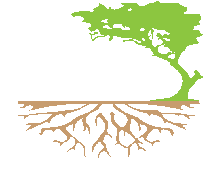 AAA Tree Solutions Logo